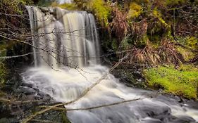 Glenariff Forest Getaway